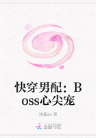快穿男配：Boss心尖宠