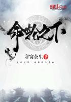 命轮之下